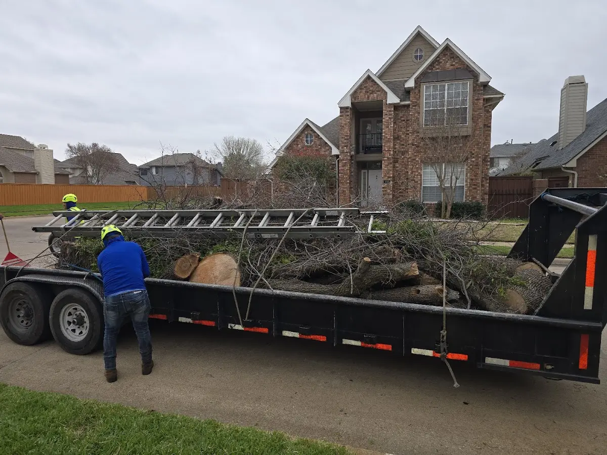 Expert Tree Fertilization with proper safety equipment in Milladore